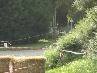 Salamandre-haillot 2007