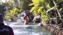 Jurassic Park River Adventure Full Ride POV Universal Studios Orlando Islands Of Adventure