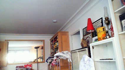 Wiwi muppetshowise "everlasting" de Kenny G