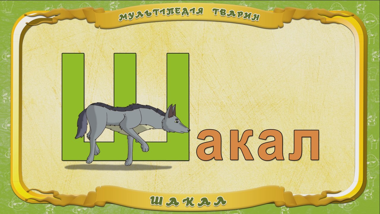 Мультіпедія тварин. Літера Ш - Шакал