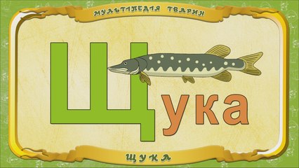 Мультіпедія тварин. Літера Щ - Щука