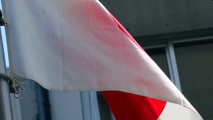 Train invisible au Japon