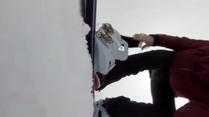 دب يطارد متزلجة دون أن تدرك ذلك