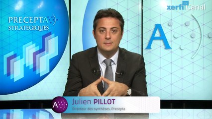 Julien Pillot, Xerfi Canal Comprendre la courbe d’expérience