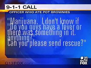 10 Bizarre Law Enforcement Screwups