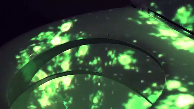 Эксперимент в общественном туалете