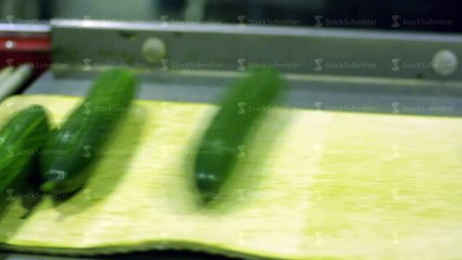 Packaging machine for cucumber at factory