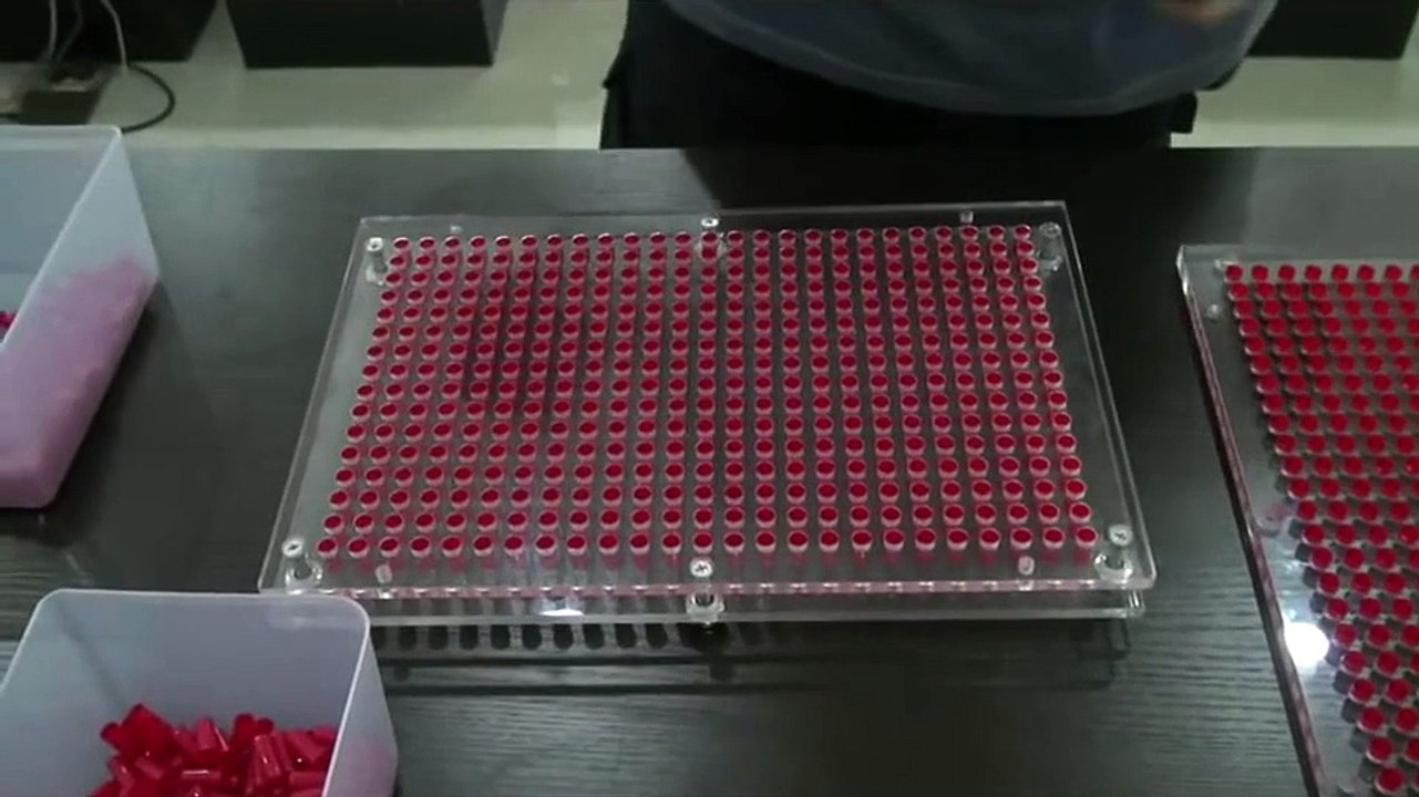 khuôn đóng nang thuốc thủ công, khuôn đóng viên nhộng 400 viên, khuôn đóng viên thực phẩm chức năng