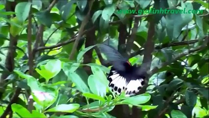 Thailand and Laos tour 14 days - Southeast Asia Vacation