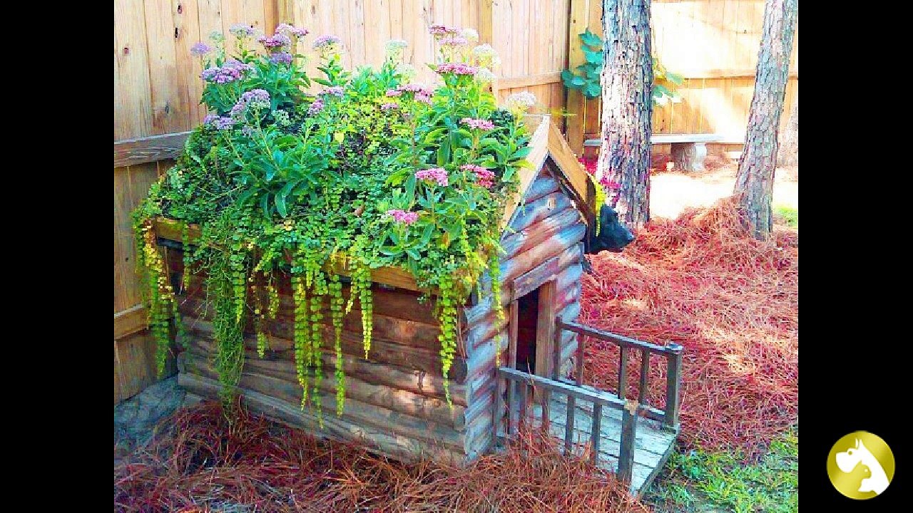 Виды будок для собак