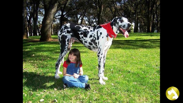 Зевс и его друзья