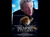 Hachiko: A Dog's Story ( Siempre a tu lado: Hachiko )