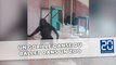 Un gorille danse du ballet dans un zoo
