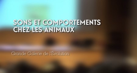 Sons et comportements chez les animaux (cycle La Nature nous parle 5/5)