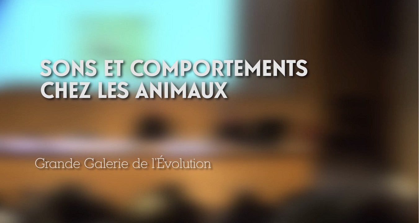 Sons et comportements chez les animaux (cycle La Nature nous parle 5/5)
