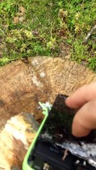 Marre que ses enfants soit pendus à leurs smartphones, cette américaine a trouvé la solution !