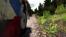 DiRT Rally PS4 - Finland - Naarajärvi - Peugeot 205 T16 Evo 2