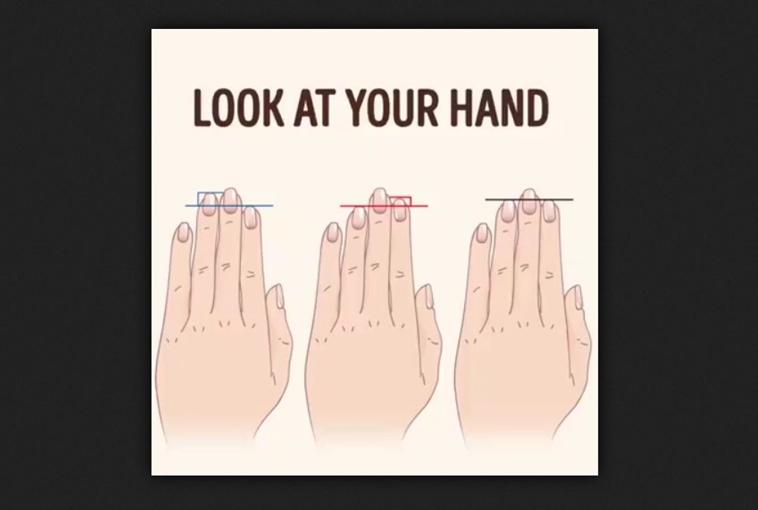Here's what your finger length reveals about your personality