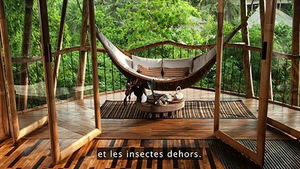 Découvrez de superbes maisons construites en bambou