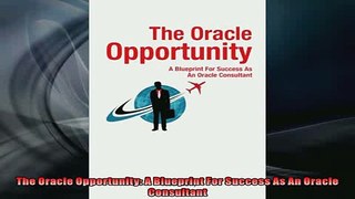 FREE PDF  The Oracle Opportunity A Blueprint For Success As An Oracle Consultant  BOOK ONLINE