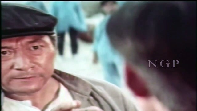 Brutal Chinese Martial Arts Kickboxing Fight Scene Ever - Chinese Hercules Movie