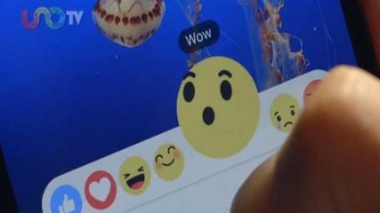 Javier Matuk |   Más estados de ánimo para colocar en Facebook