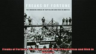 READ book  Freaks of Fortune The Emerging World of Capitalism and Risk in America  FREE BOOOK ONLINE