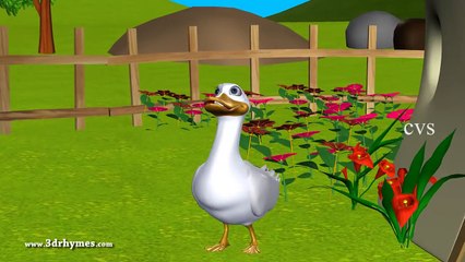 Five Little Ducks went out one day - 3D Animation English Nursery Rhymes for Children