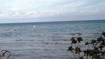 20111107沖縄本島西海岸サーフィン波情報