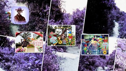 nhung buoi chieu vang- hoa tau