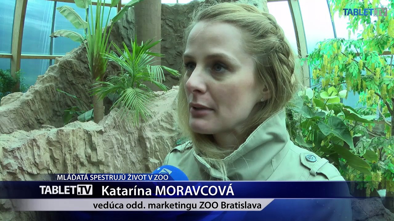 Mláďatá spestrujú život v zoologických záhradách. Pozornosť návštevníkov púta napríklad malý dikobraz