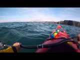 Kayakers Stumble Upon Basking Sharks in Kilkee
