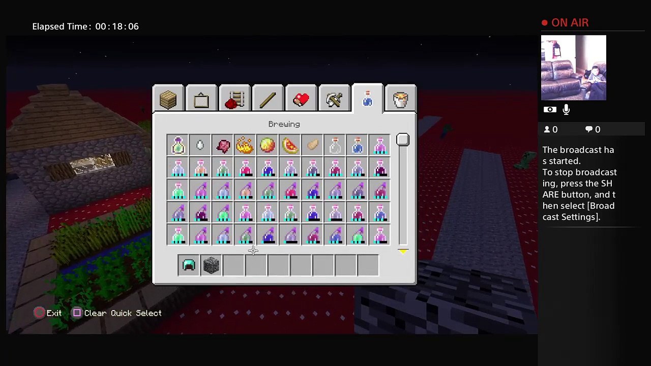 Minecraft video (13)