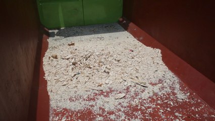 Casi 10 toneladas de marfil africano triturados contra el tráfico ilegal