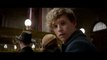 Fantastic Beasts and Where to Find Them English Movie Official Teaser Trailer (2016)