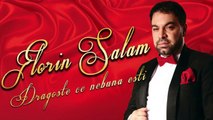 Florin Salam - Dragoste ce nebuna esti [Oficial Audio]2016 Hit