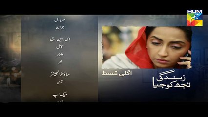 Zindagi Tujh Ko Jiya Episode 33 Promo HUM TV Drama 14 April 2016