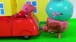 Peppa Pig e George Caem do Reboque do Vovô Cão! Em Português. Novelinha Brinquedos Peppa Pig Toys