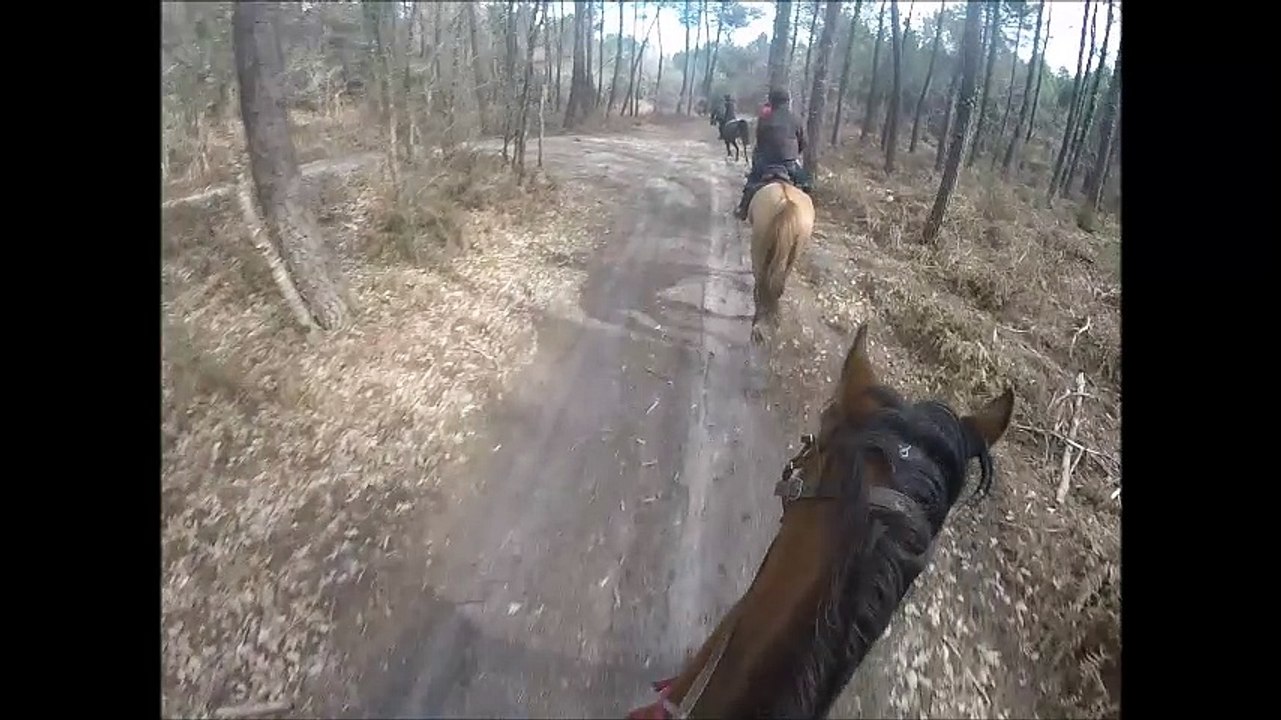 pentes et descentes au galop dunes Biscarrosse direction l'océan