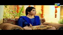 Dil E Beqarar Episode 01 Full HUM TV Drama 13 April 2016