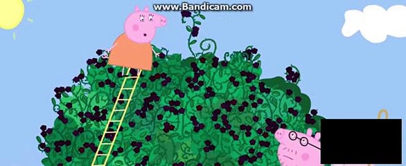 YTP: Peppa Pig Daddy Knight