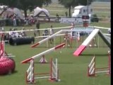 Tolkien Agility Chaumont