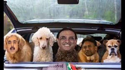 Funny Toka molvi and with dog