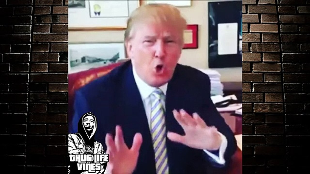Funny Donald Trump Vine Compilation