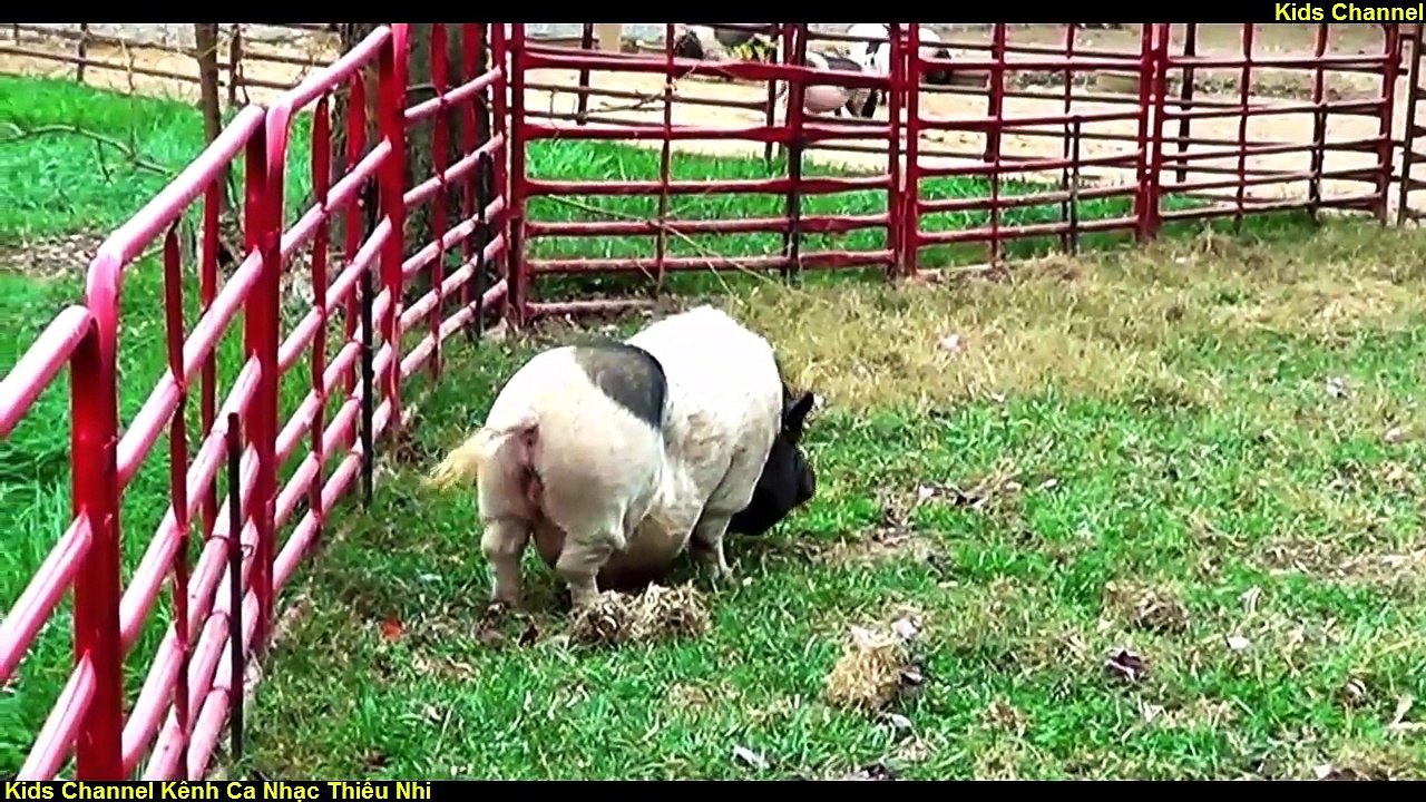 Con Heo Đất Remix - Liên Khúc Nhạc Thiếu Nhi Vui Nhộn Sôi Động