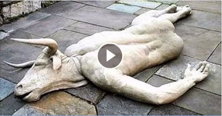 Farmer Shocked When Cow Gives Birth to Two-Faced Calf