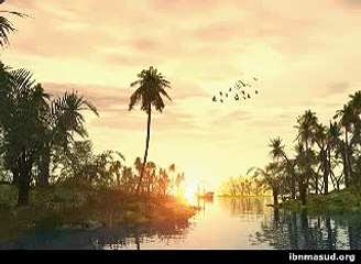 Soothing Quran Recitation From Taraweeh