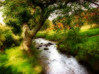 Fahd al Kanderi, sura An'am, beautiful Quran recitation_2