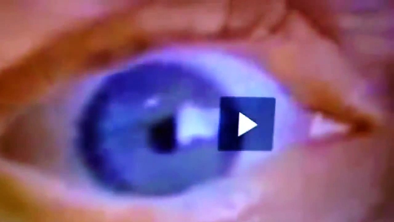 Best Reptilian Shapeshifter Alien Caught on TV