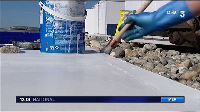 Le Havre : les cabanes sont de retour sur les plages